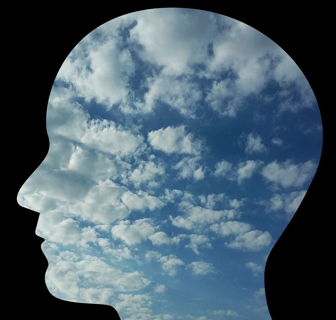head, man, person, people, face, profile, loneliness, happiness, thoughts, sky, clouds, anxiety, confusion, mental confusion, psychology, to think, nature, emotion, thought, mind, anxiety, psychology, mind, mind, mind, mind, mind